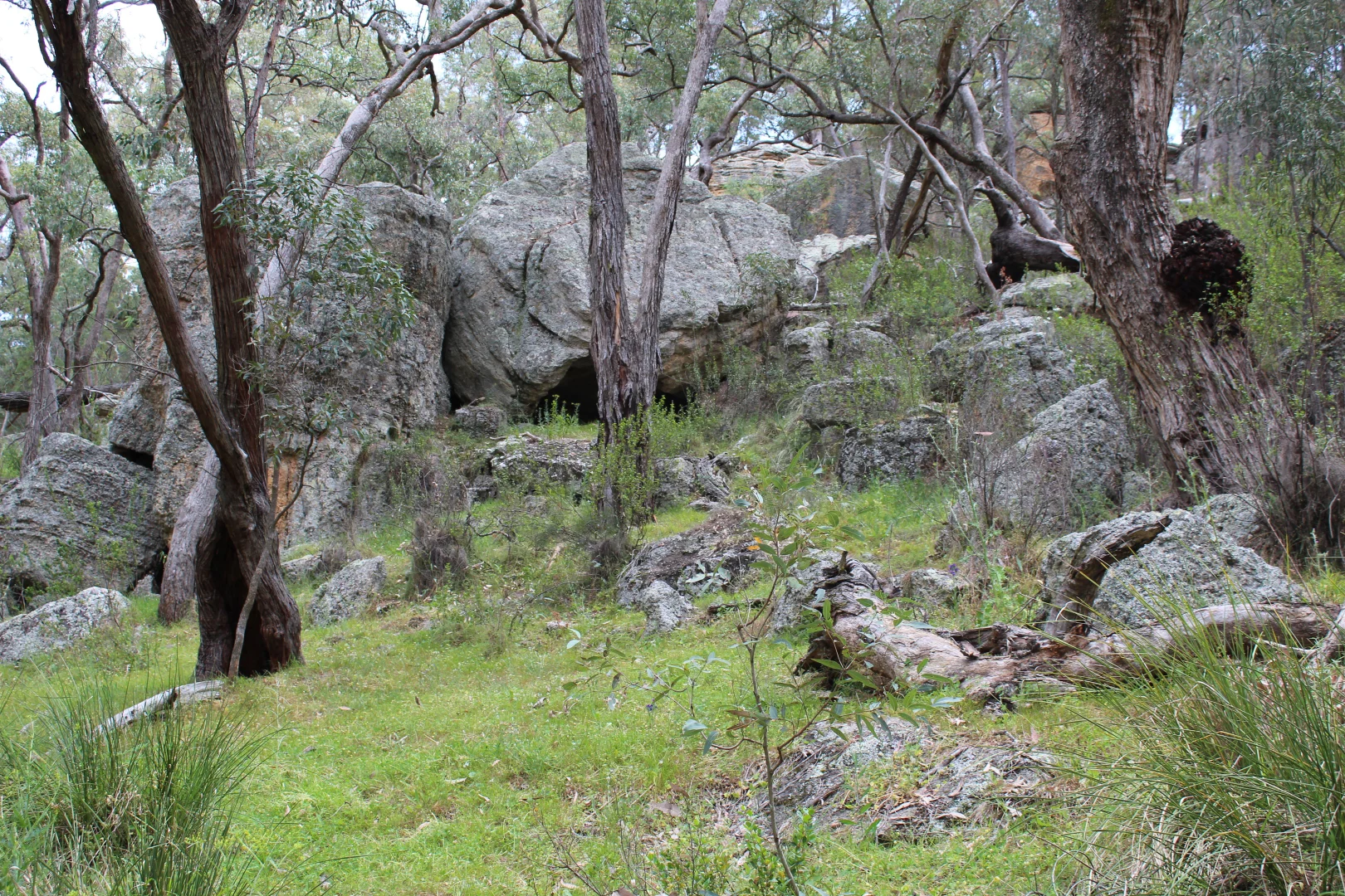 Additional image 21 of 2824 Neilrex Road, Neilrex NSW 2831