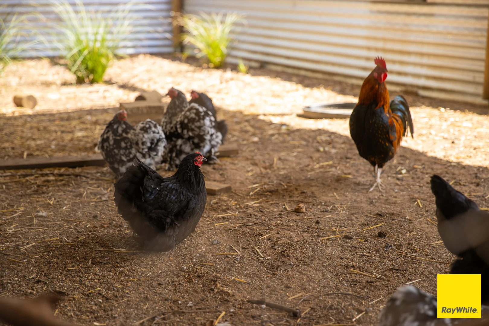 Additional image 30 of 8284 Armidale Road, Dorrigo NSW 2453