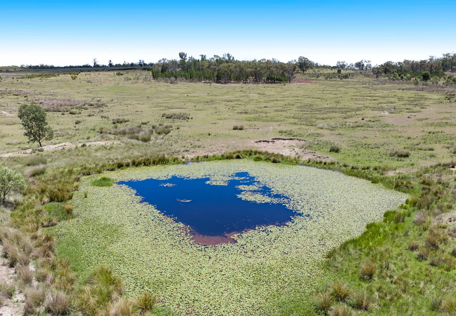 Additional image 25 of 3167 Stanthorpe Inglewood Road, Inglewood QLD 4387