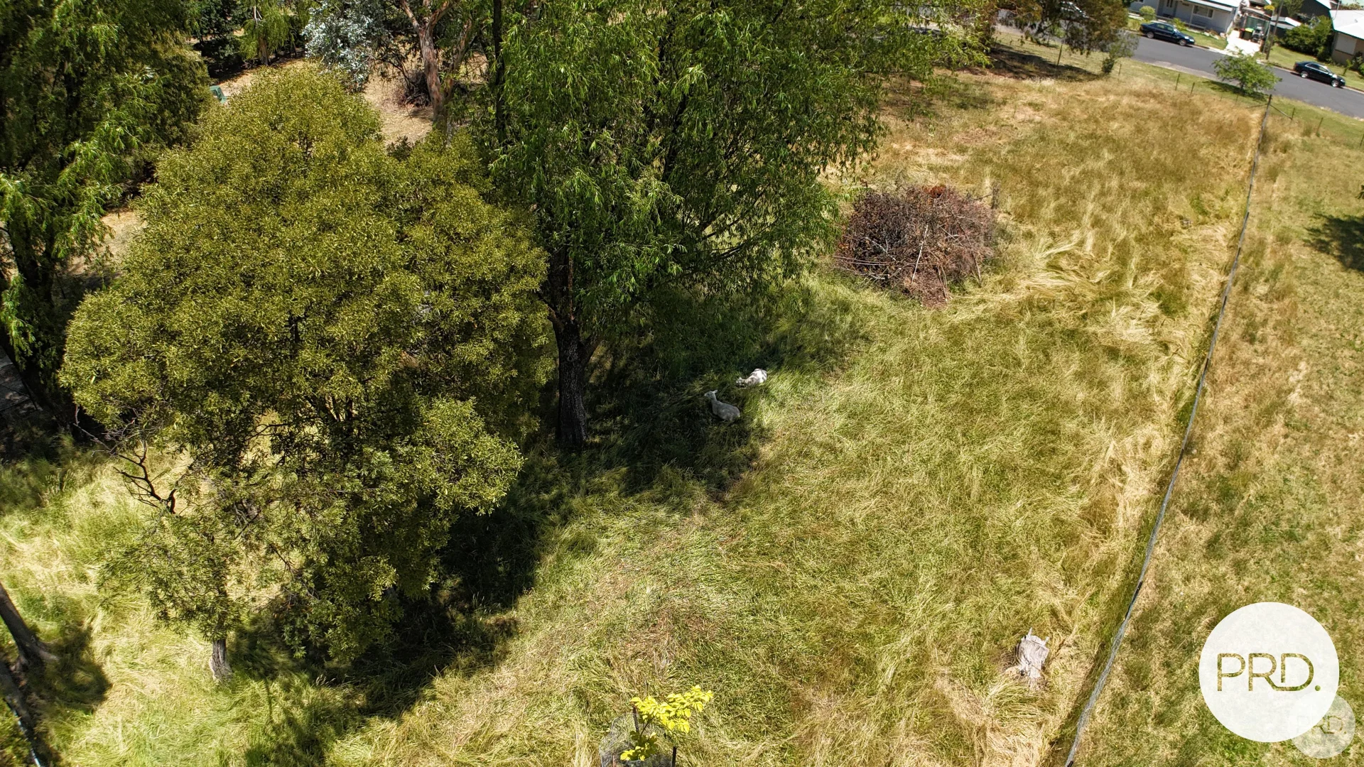 Additional image 18 of Lot 1/120 Gilbert Street, Tumbarumba NSW 2653