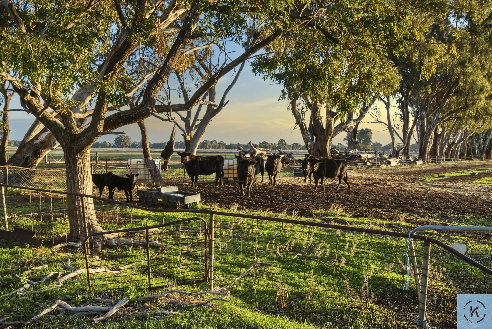 Additional image 28 of 7243 Goulburn Valley Highway, Koonoomoo VIC 3644