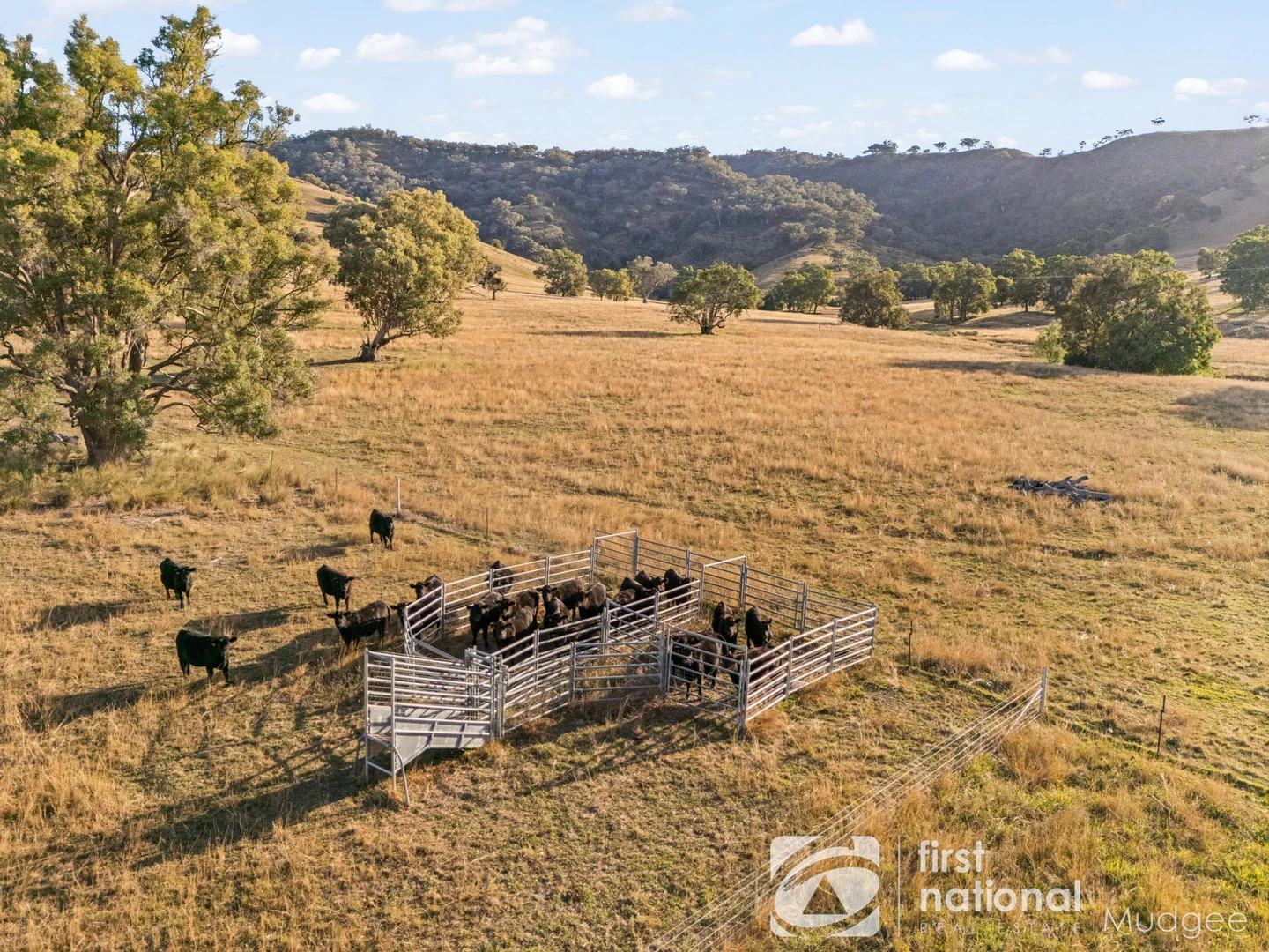 Additional image 15 of 688 Queens Pinch Road, Mudgee NSW 2850