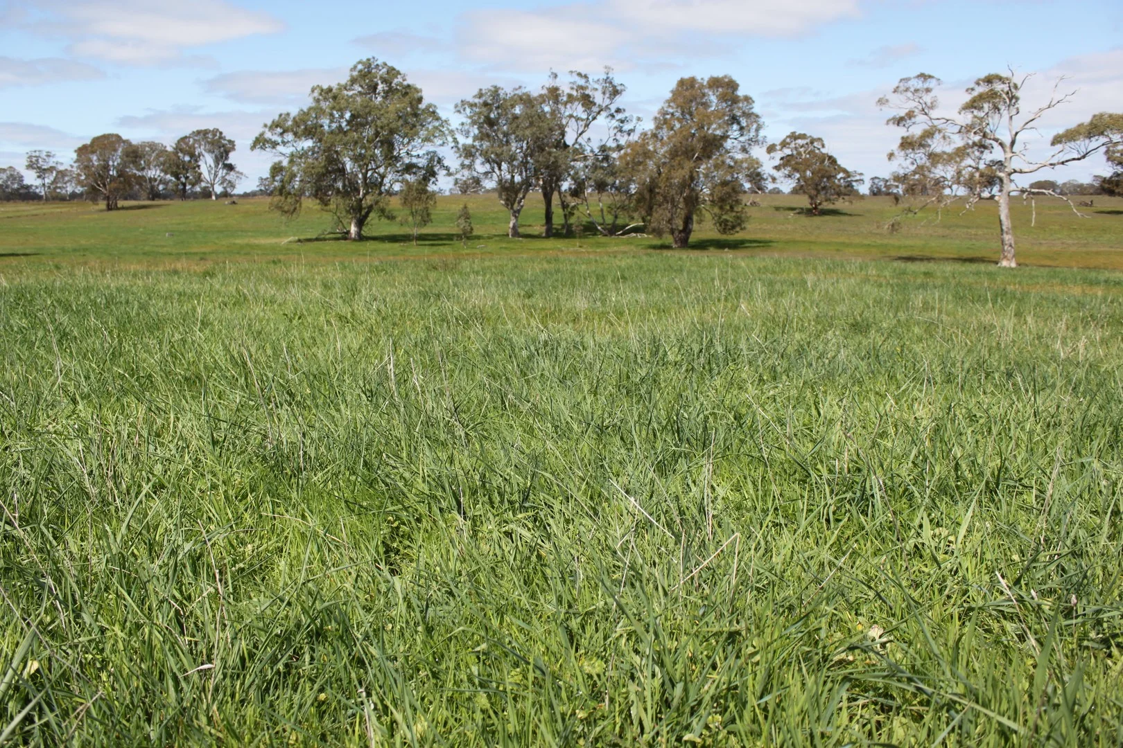 Additional image 2 of Lot/11 Casterton Apsley Road, Apsley VIC 3319