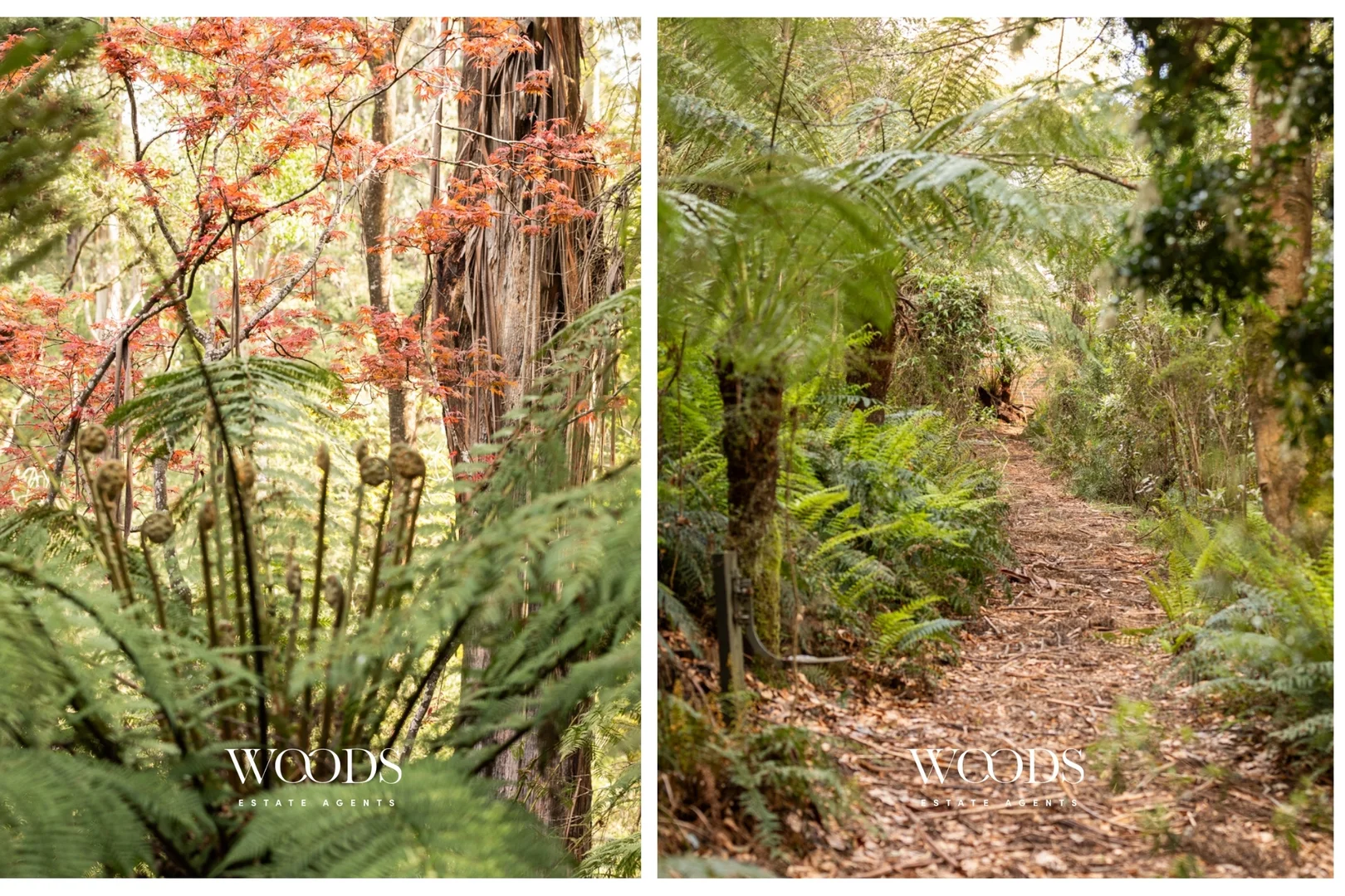 Additional image 32 of 22 Colehurst Crescent, Sassafras VIC 3787