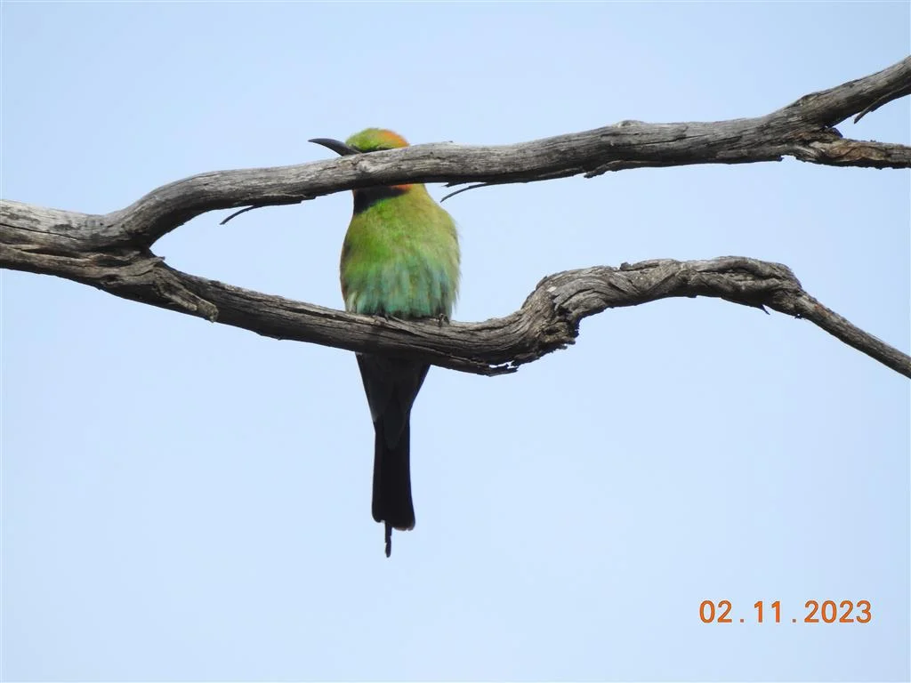 Additional image 5 of Lot 7 Wedderburn-Serpentine Rd, Glenalbyn VIC 3517