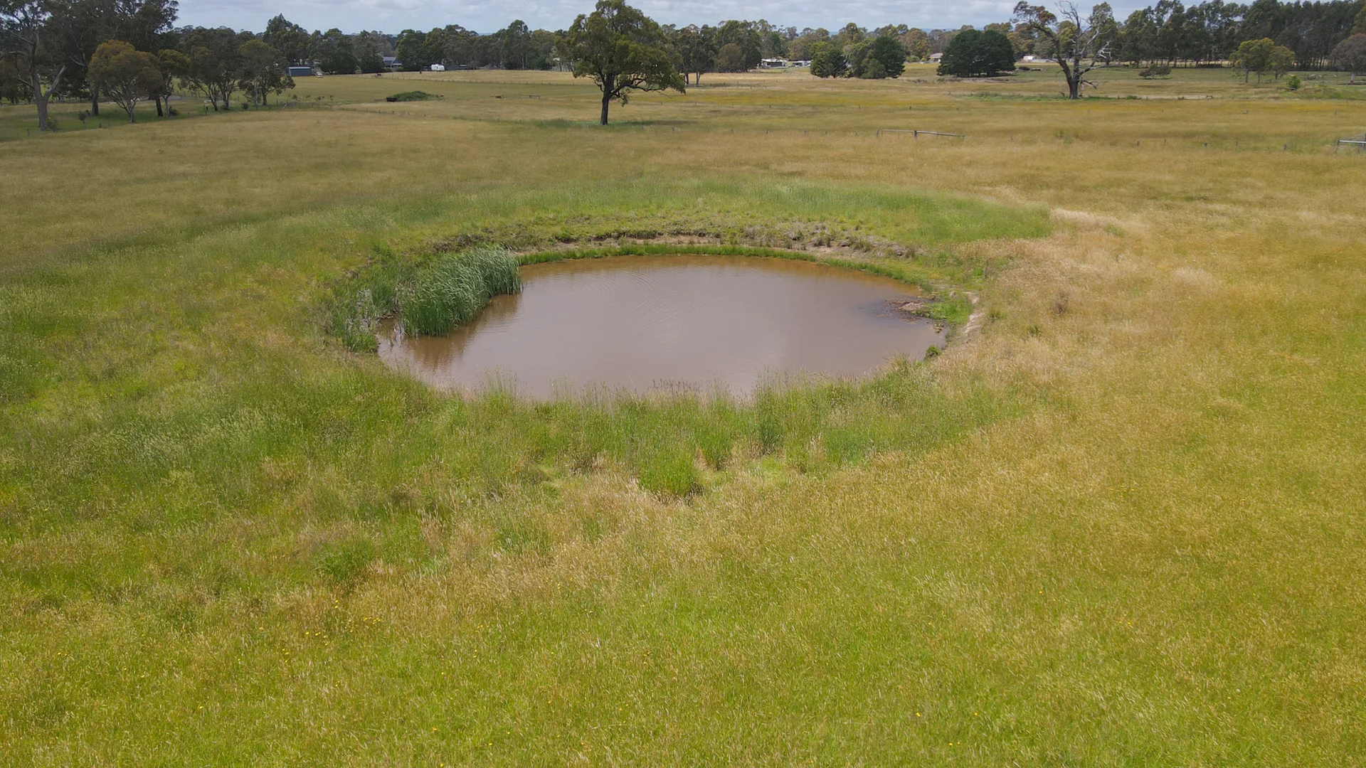 Additional image 9 of CA1 SECB Harris Lane, Toongabbie VIC 3856