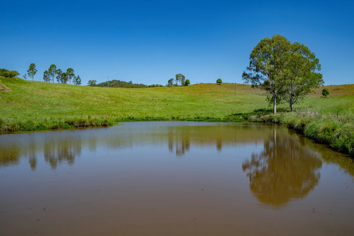 Additional image 28 of 800 Fawcetts Plain Road, Kyogle NSW 2474