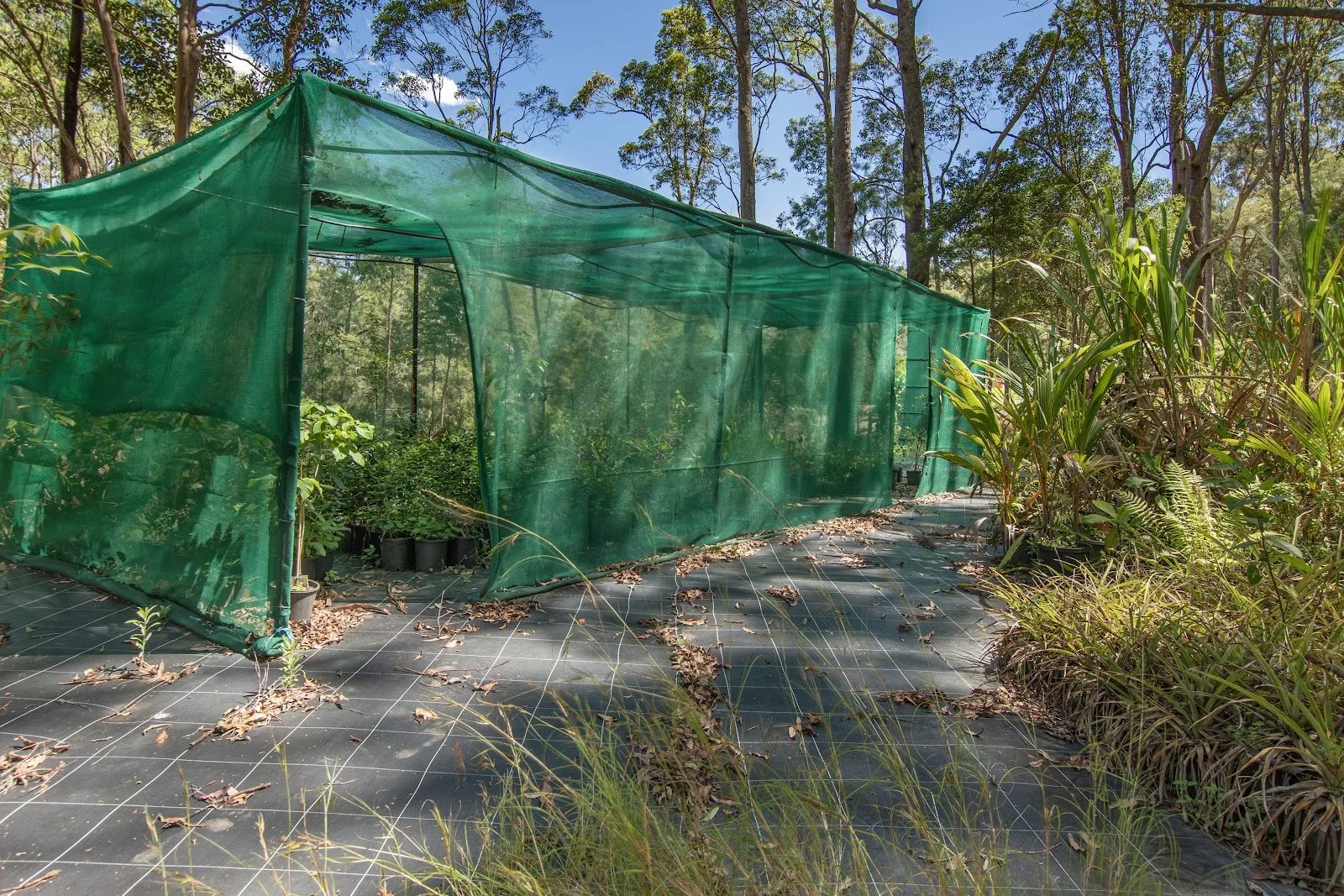 Additional image 17 of 293 Stewart Road, Coondoo QLD 4570