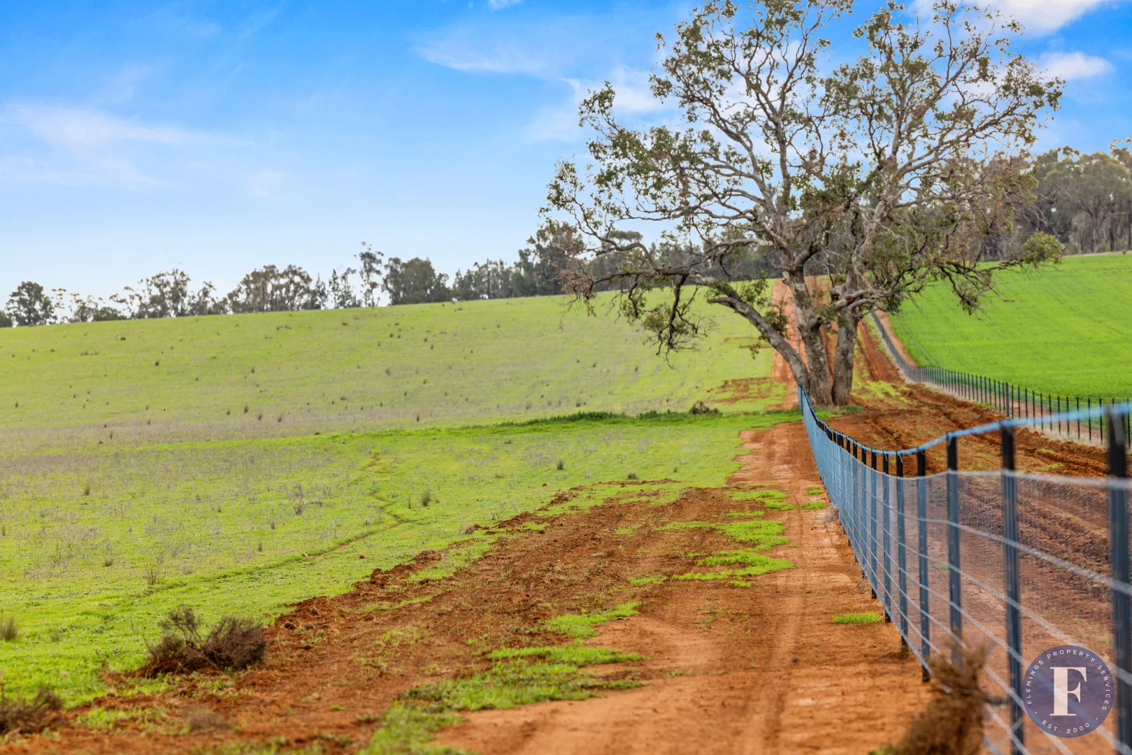 Additional image 22 of 893 Deaths Lane, Pullabooka NSW 2810