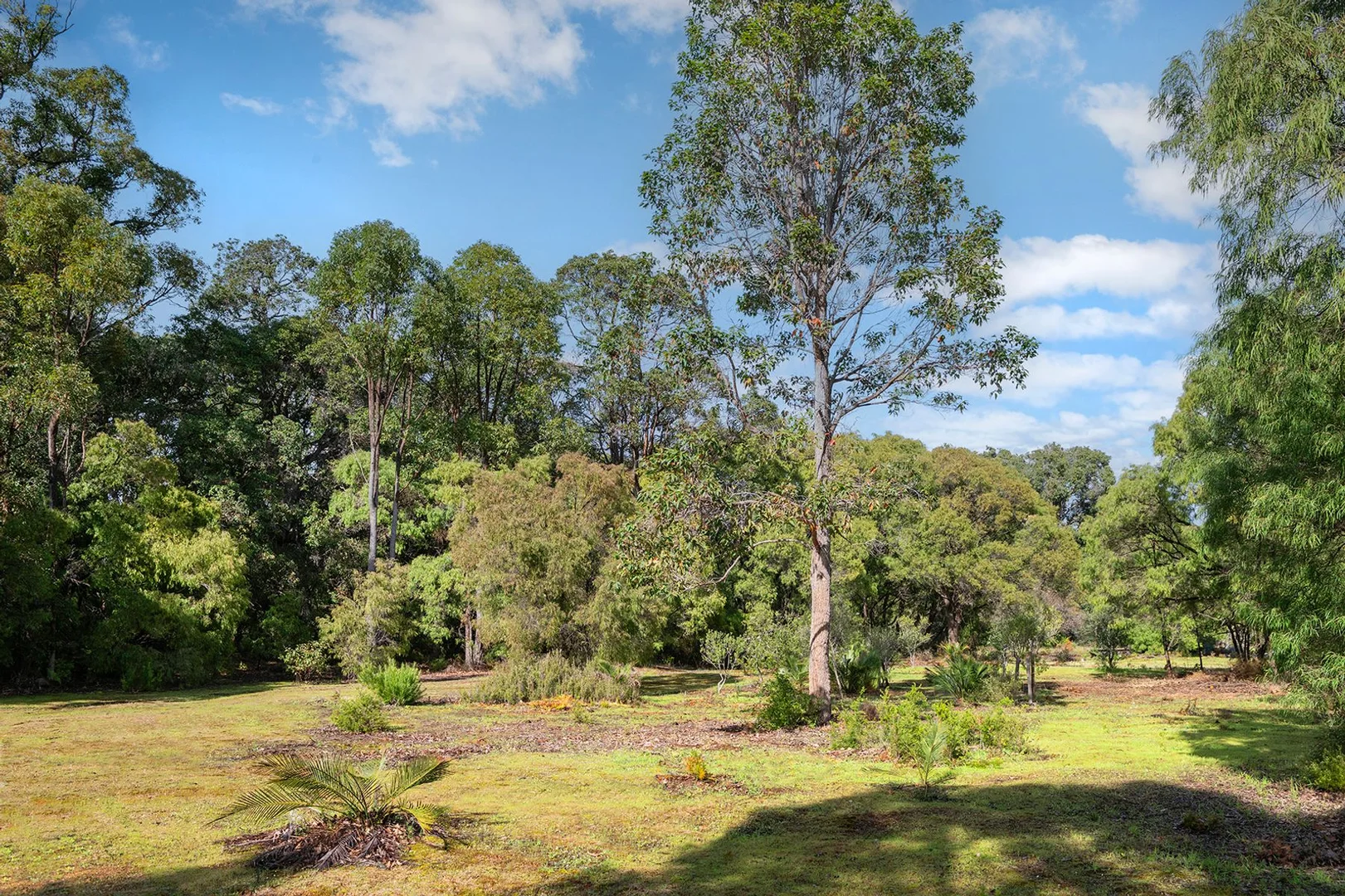 Additional image 3 of Lot Y/423 Sebbes Road, Forest Grove WA 6286