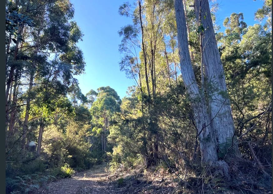 Additional image 20 of 2204 East Tamar Highway, Mount Direction TAS 7252