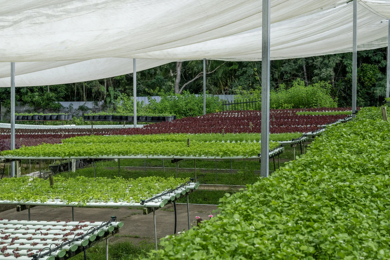 Additional image 37 of 44 Glen Nathan Court, Mount Nathan QLD 4211