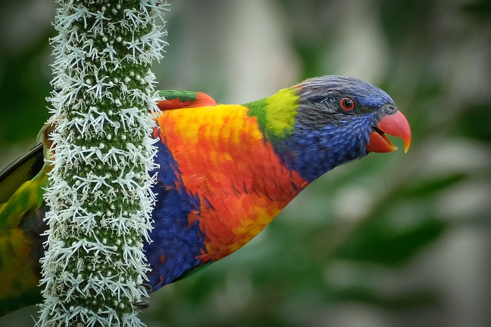 Additional image 29 of 2 Third Street, South Durras NSW 2536