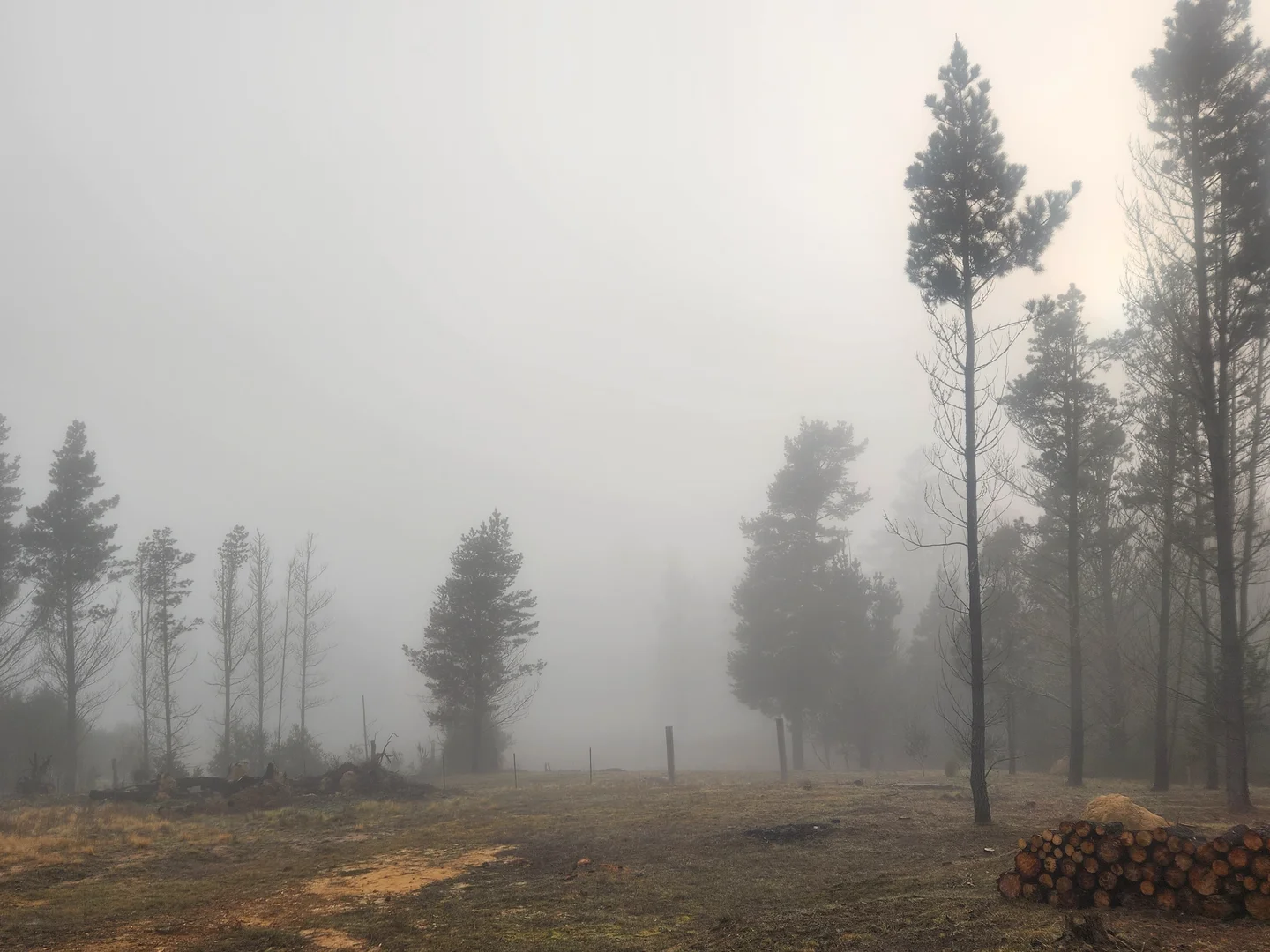 Additional image 2 of 480 Tall Timbers Road, Tomboye NSW 2622