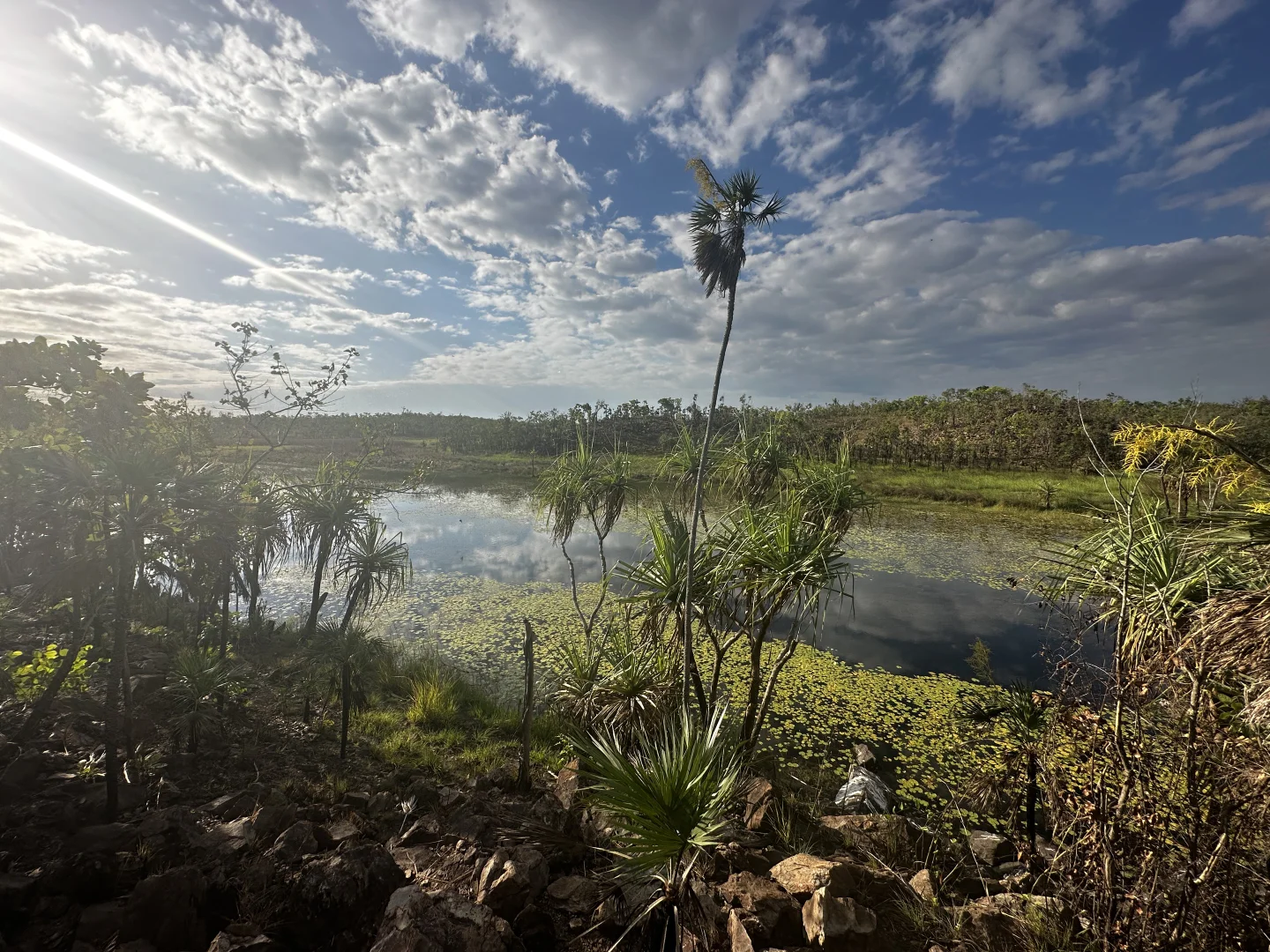 Additional image 12 of Darwin River NT 0841