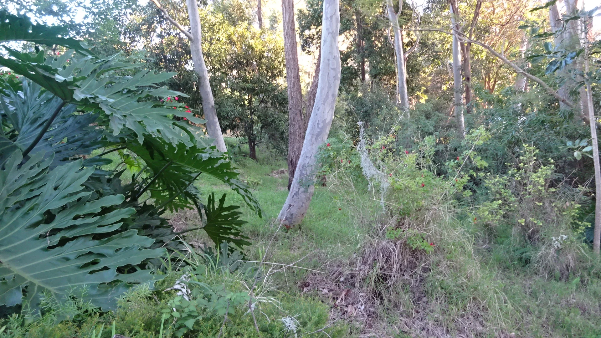 Additional image 10 of 7 Amelia Street, Carey Bay NSW 2283
