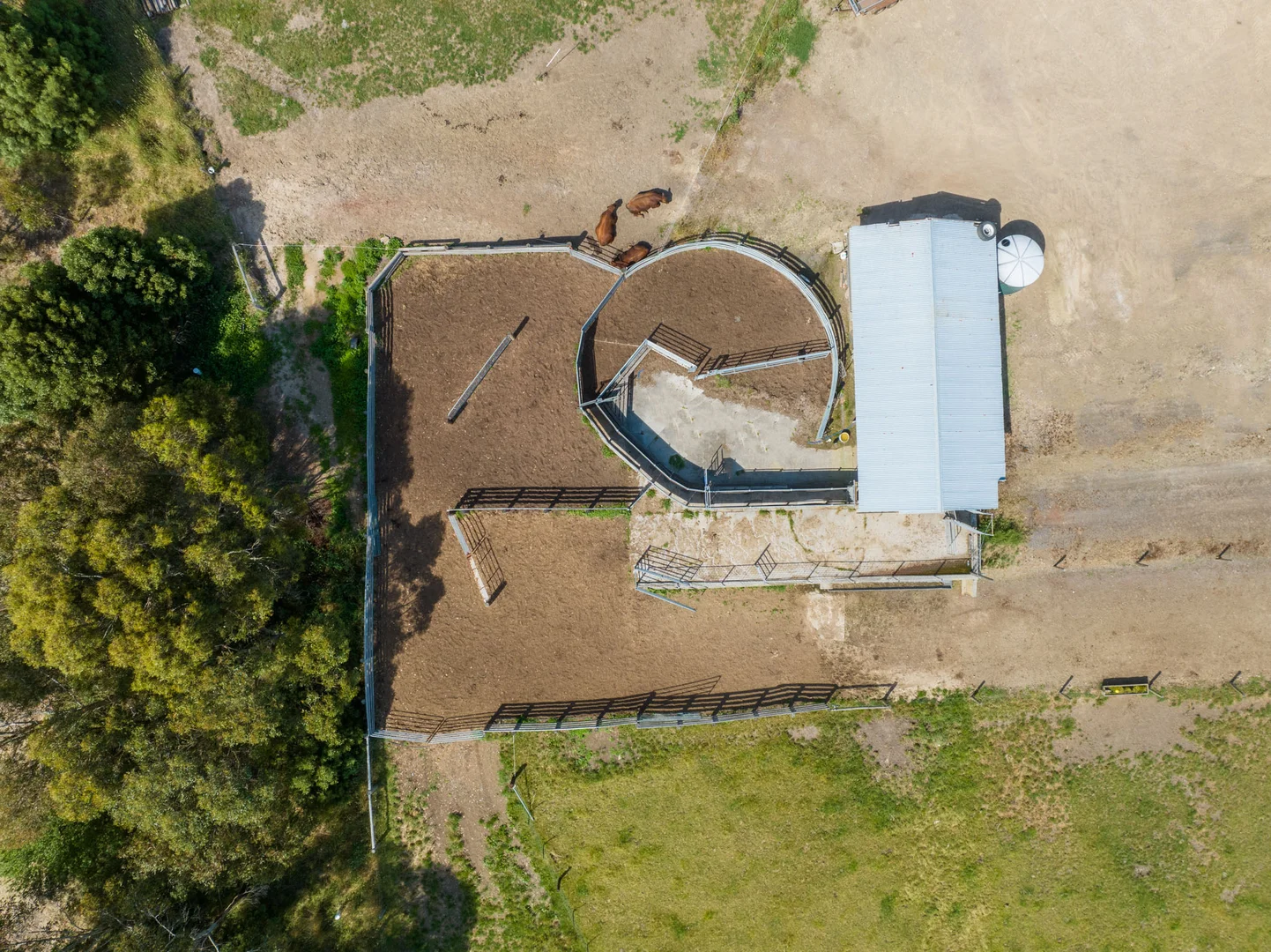 Additional image 11 of 876 Cobden Port Campbell Road, Scotts Creek VIC 3267