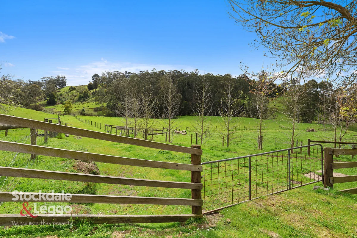 Additional image 23 of 140 Mirboo - Yarragon Road, Allambee South VIC 3871
