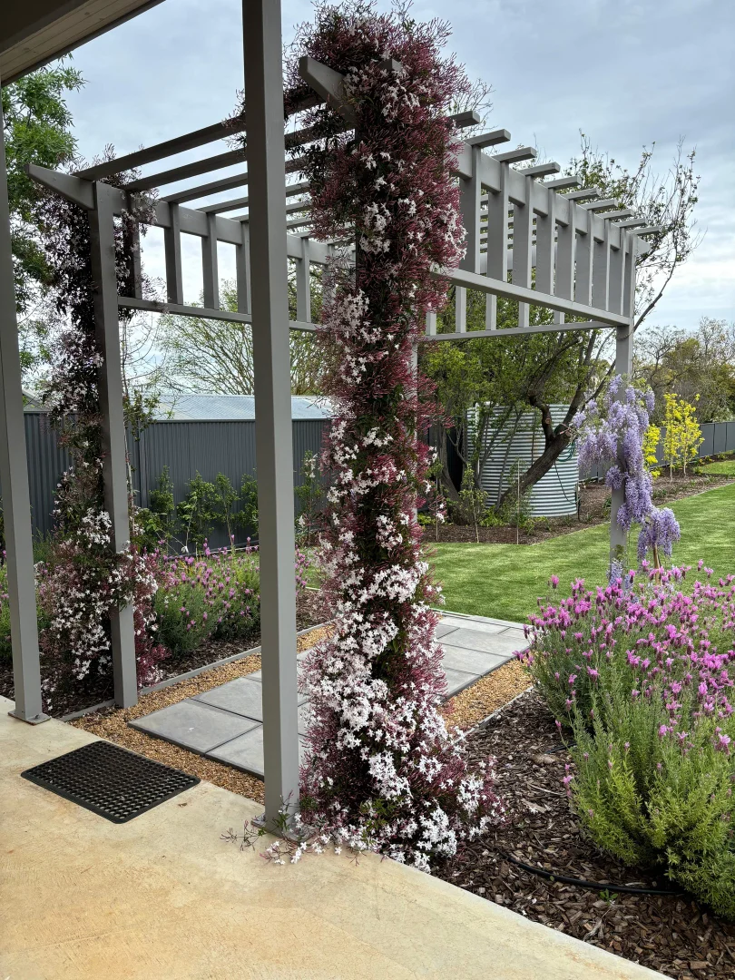 Additional image 19 of 38 Maria Street, Tanunda SA 5352