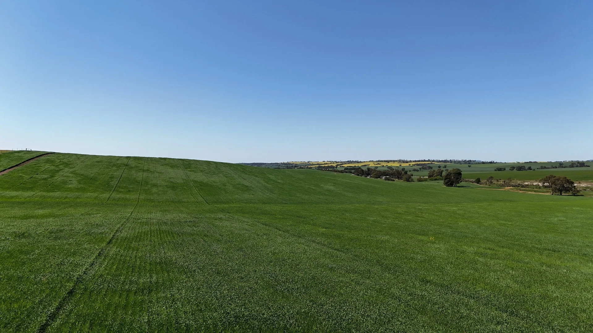 Additional image 2 of 'Ryans' Archie Road, Murray Town SA 5481