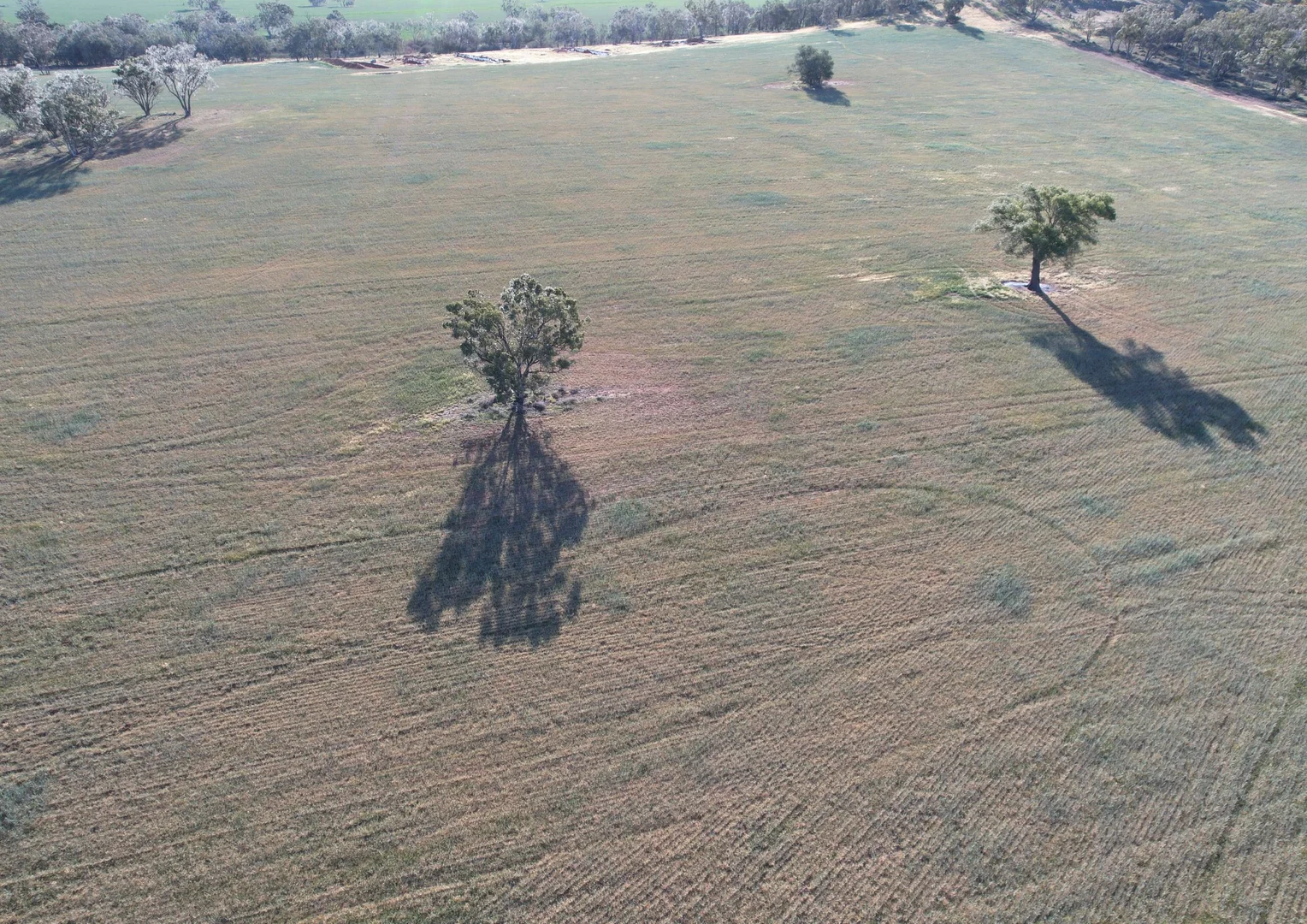 Additional image 11 of 1404 Lake Cowal, Forbes NSW 2871