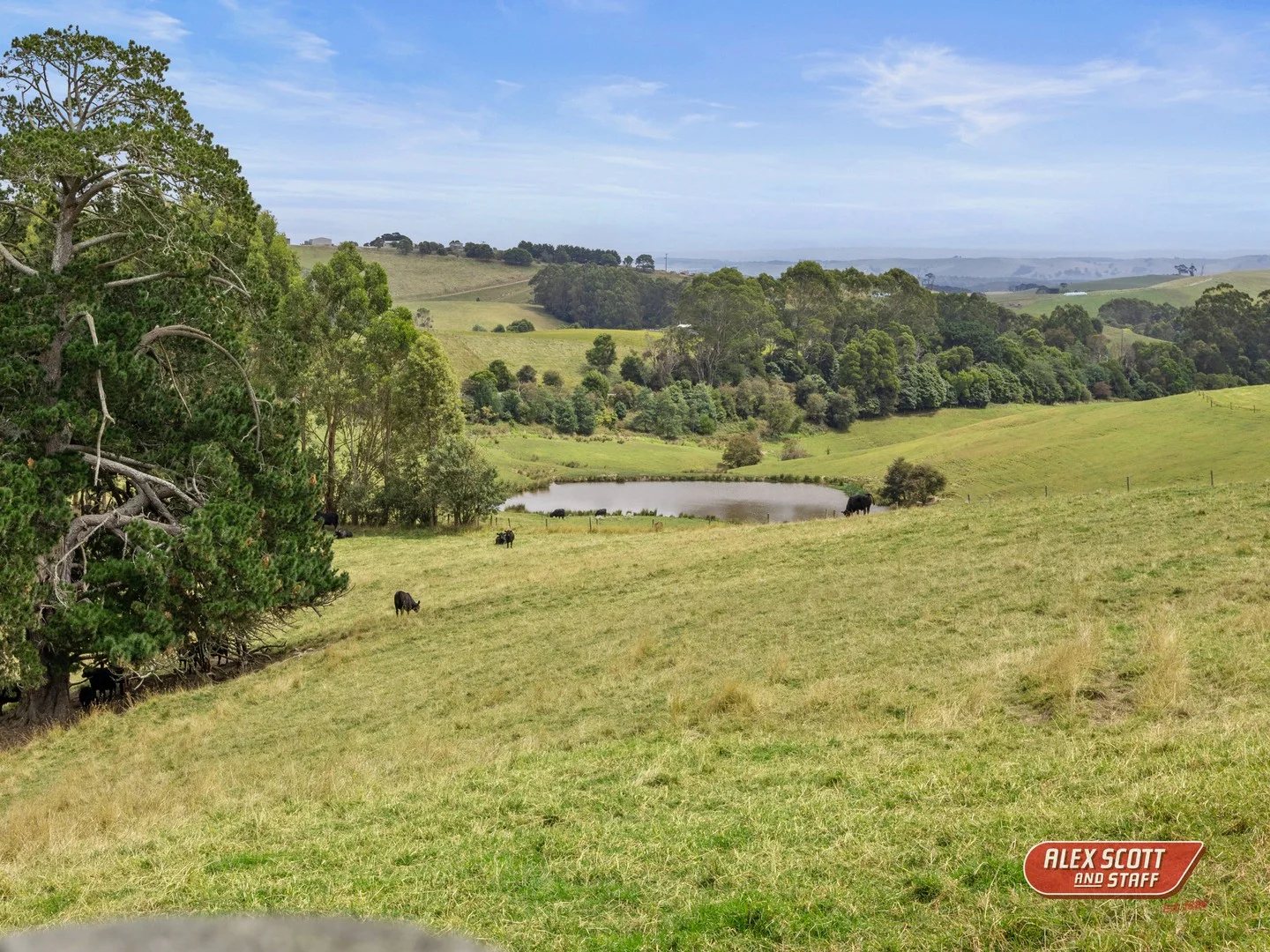 Additional image 5 of 3015 South Gippsland Highway, Stony Creek VIC 3957