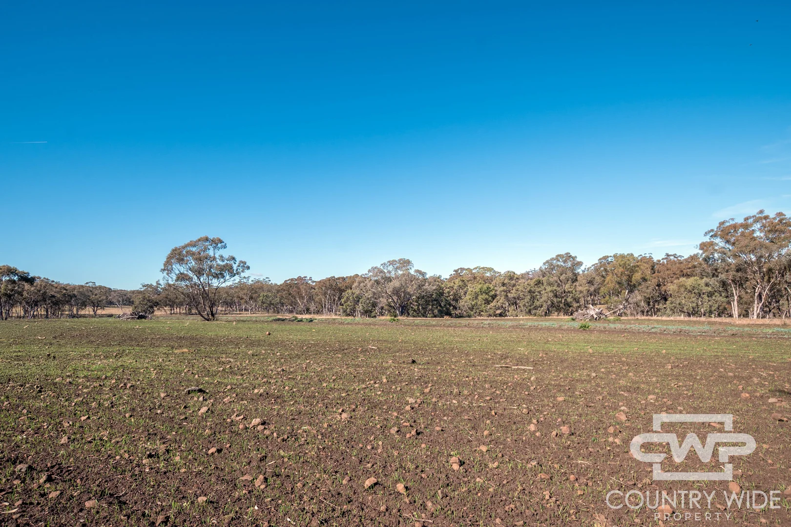 Additional image 9 of 8, - Emmaville Road, Emmaville NSW 2371