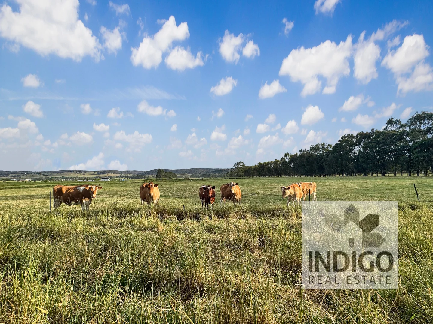 Additional image 6 of Lot 4 Fanning Lane, Wooragee VIC 3747