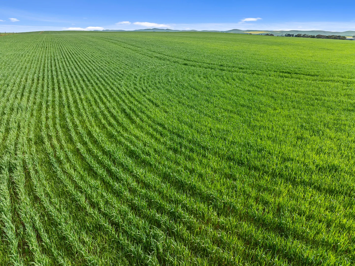 Additional image 5 of 1 Tohls Road, Booborowie SA 5417