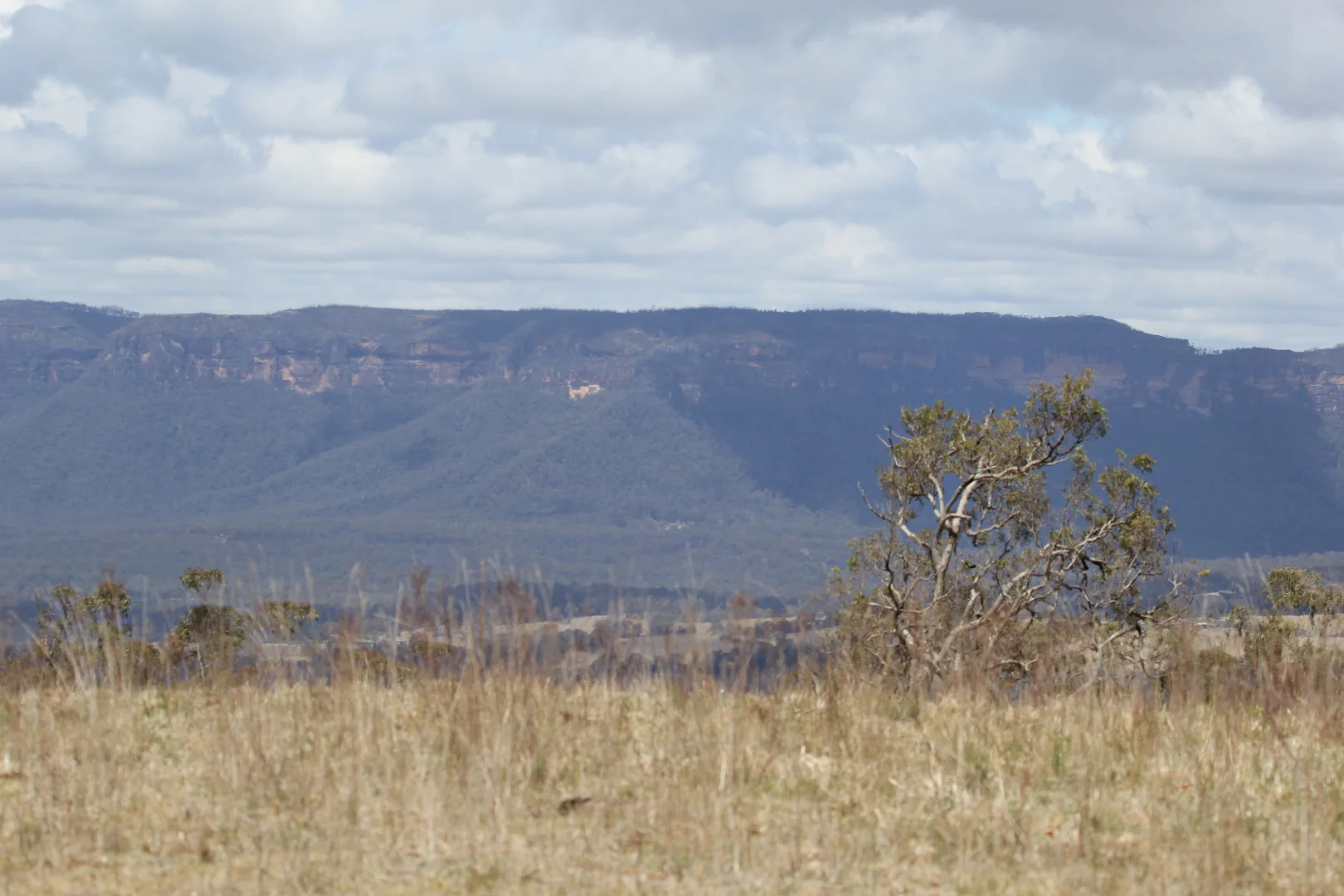 Additional image 23 of Lot 51 Glen Chee Road, Kanimbla NSW 2790