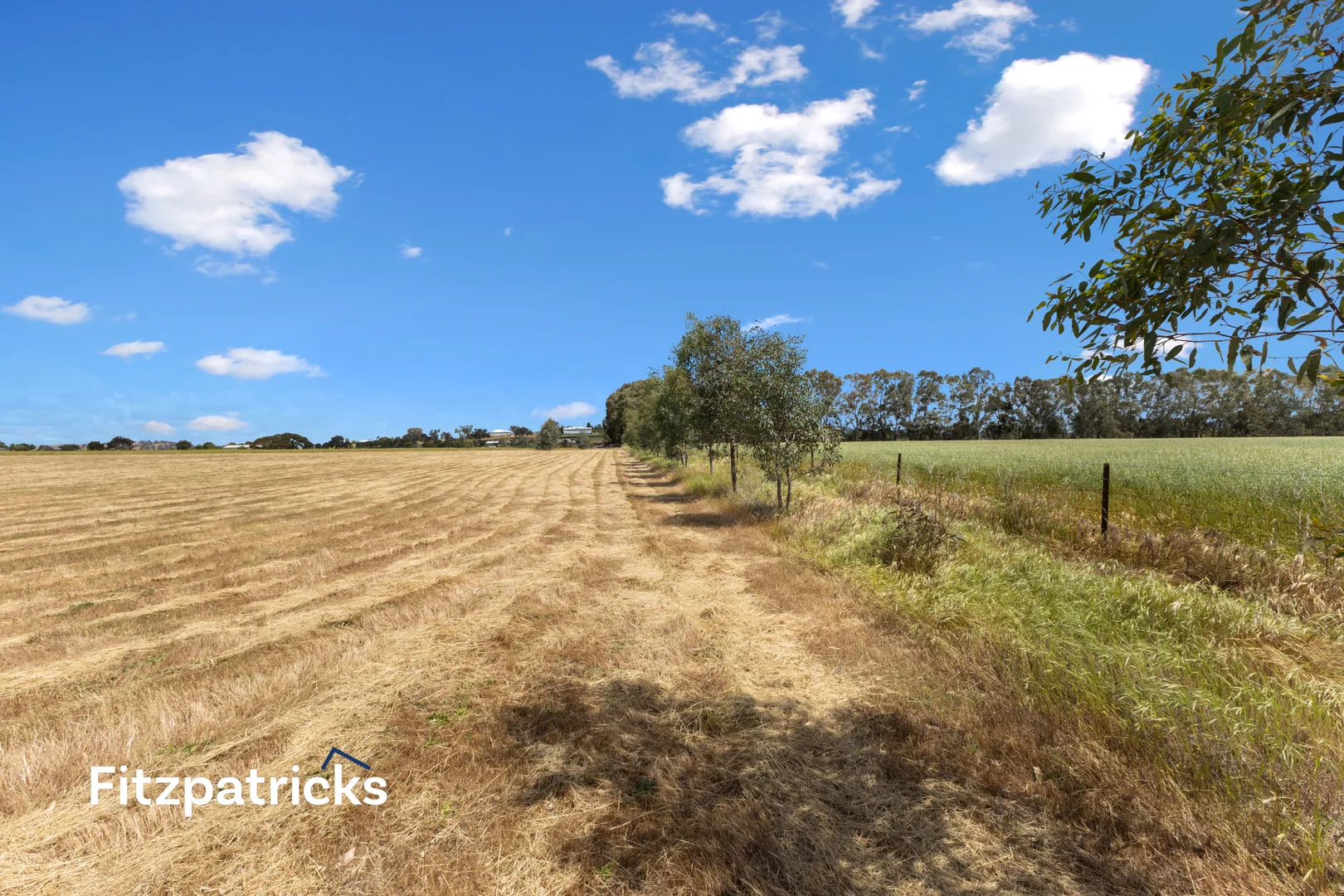 Additional image 8 of 139 Butterbush Road, Gregadoo NSW 2650
