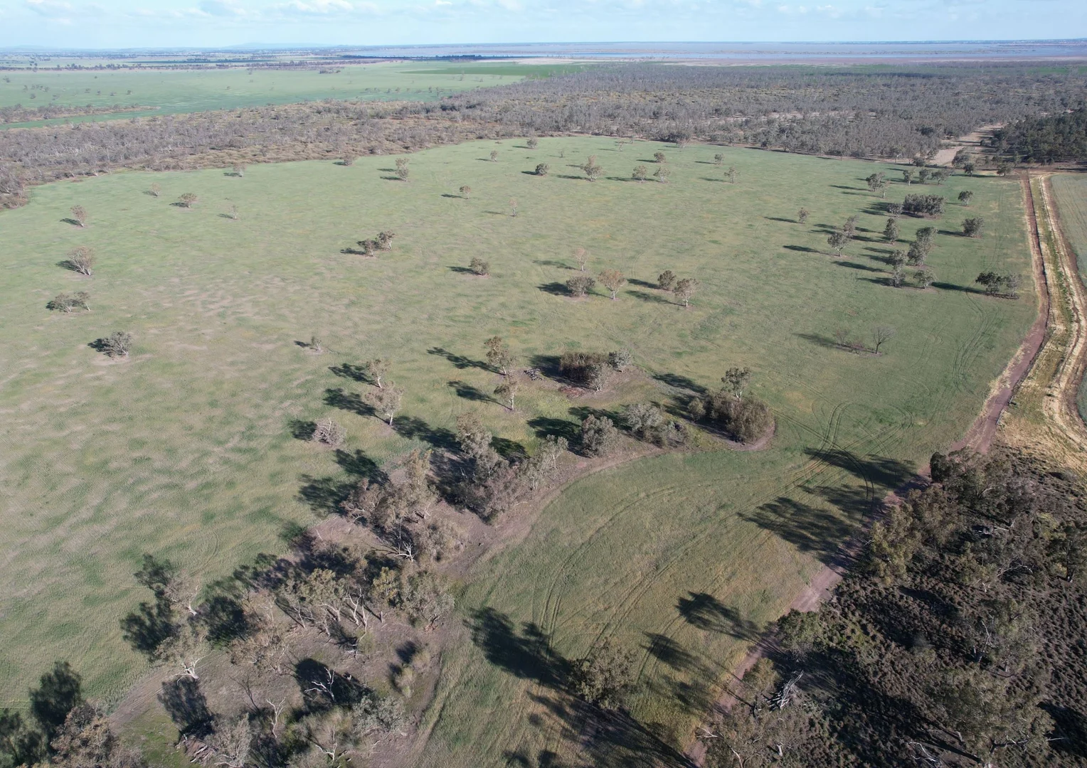 Additional image 18 of 1404 Lake Cowal, Forbes NSW 2871