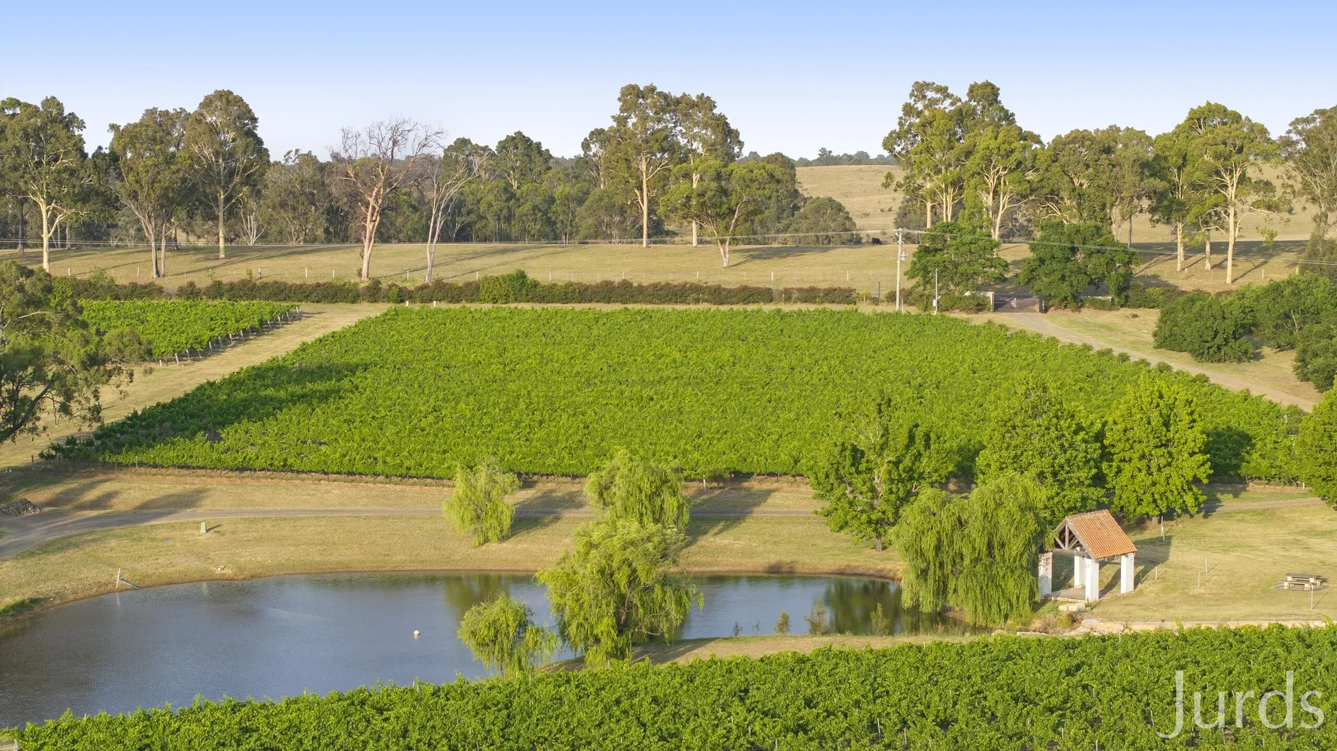 Additional image 6 of 110 Old North Road, Pokolbin NSW 2320