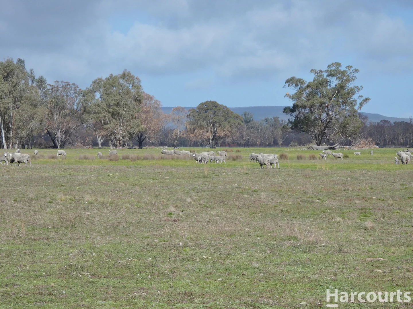 Additional image 7 of 6080 Western Highway, Dadswells Bridge VIC 3385