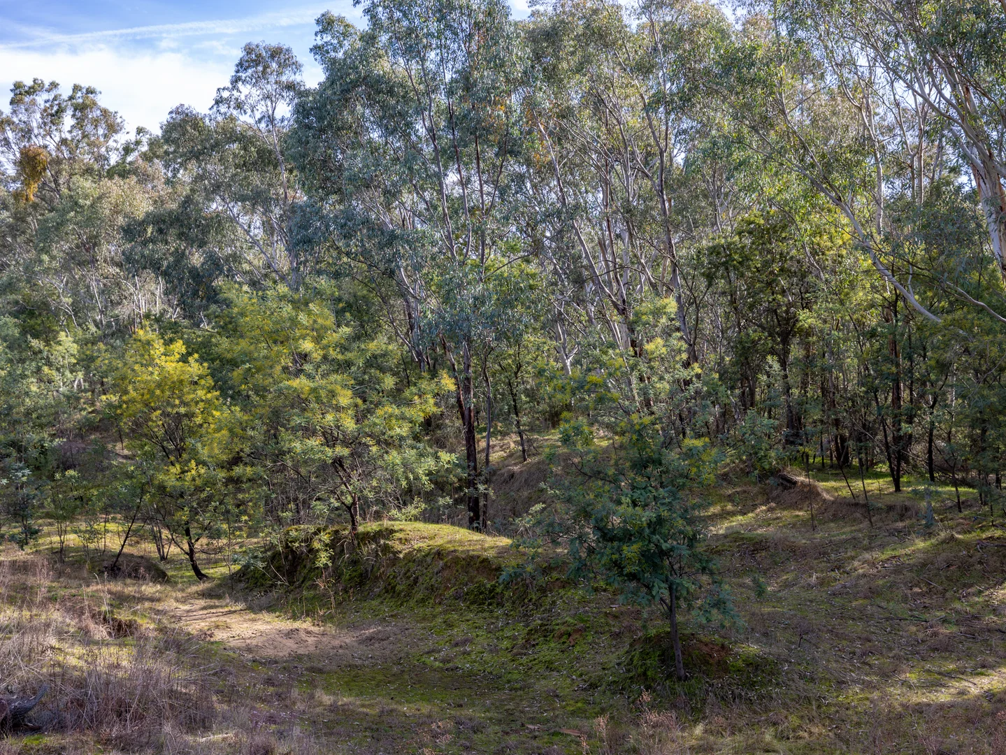 Additional image 4 of 15 Richards Street, Eldorado VIC 3746