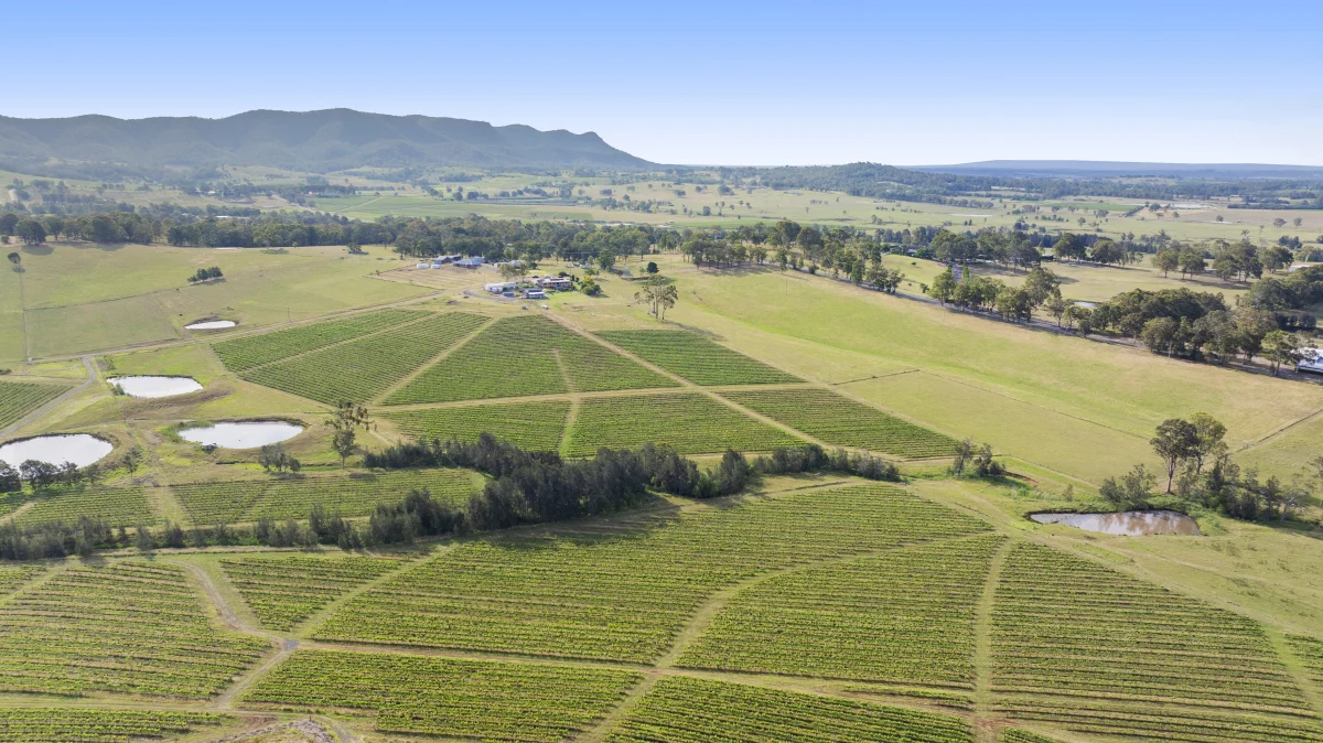 Additional image 26 of 353 Oakey Creek Road, Pokolbin NSW 2320