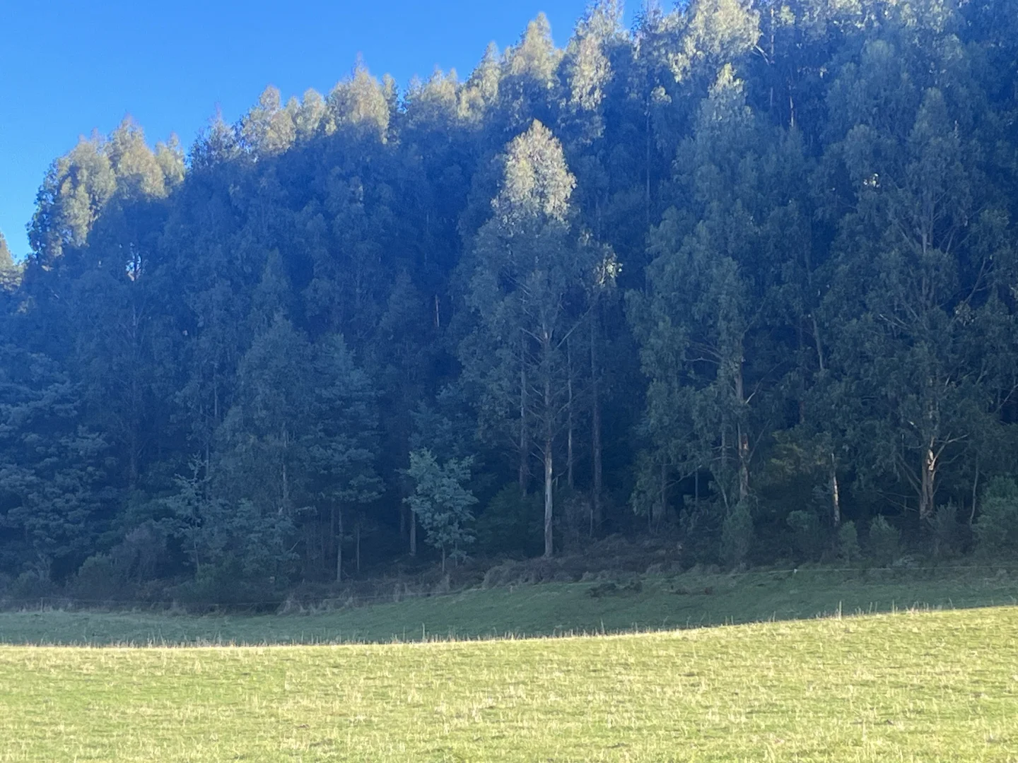 Additional image 9 of . Powers Road, Pyengana TAS 7216