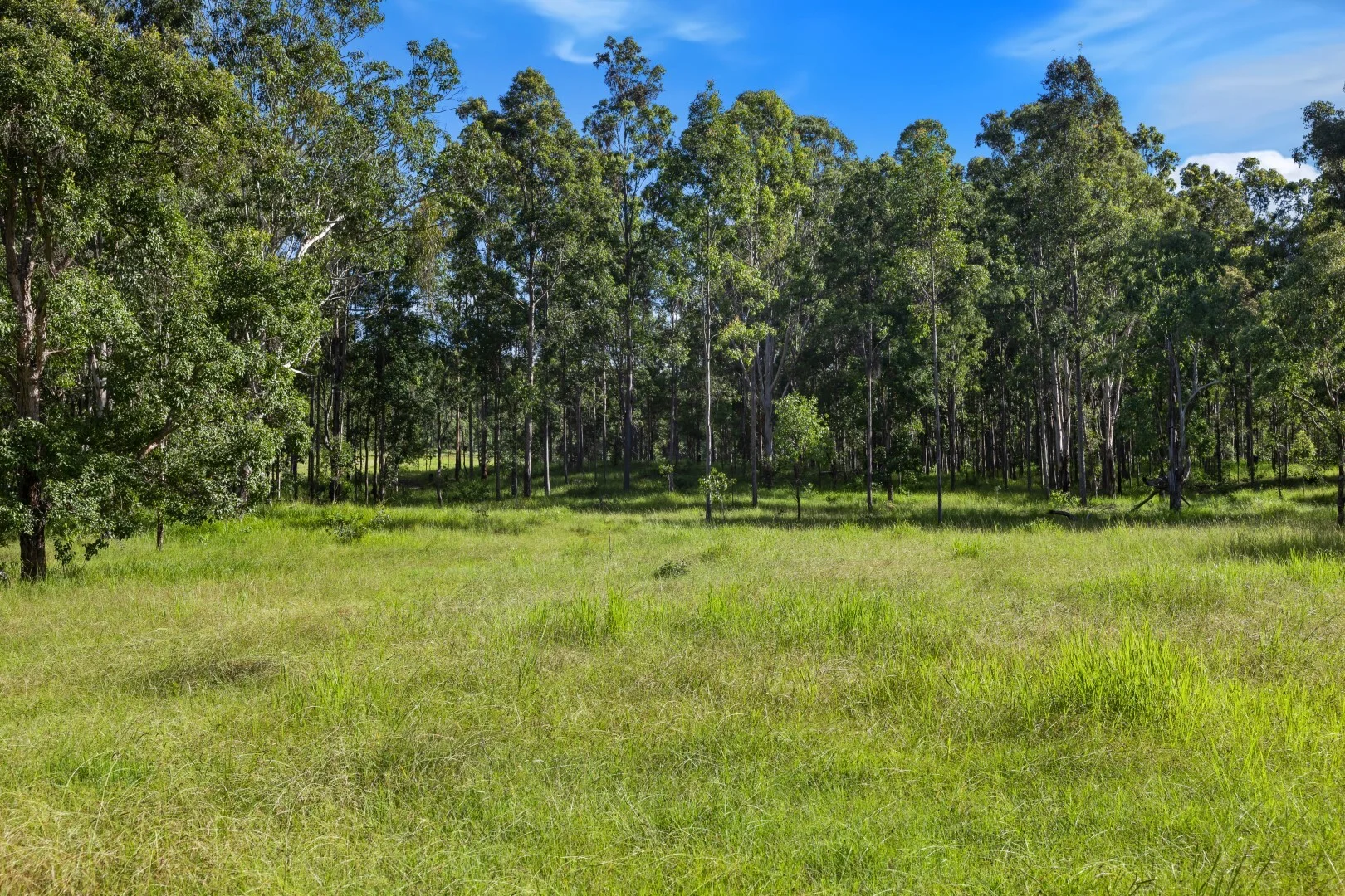 Additional image 4 of 62-69 Duck Creek Road, Bonalbo NSW 2469