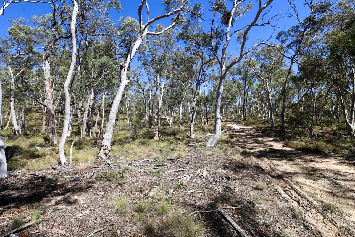 Additional image 5 of 494 Jerralong Road, Oallen NSW 2622