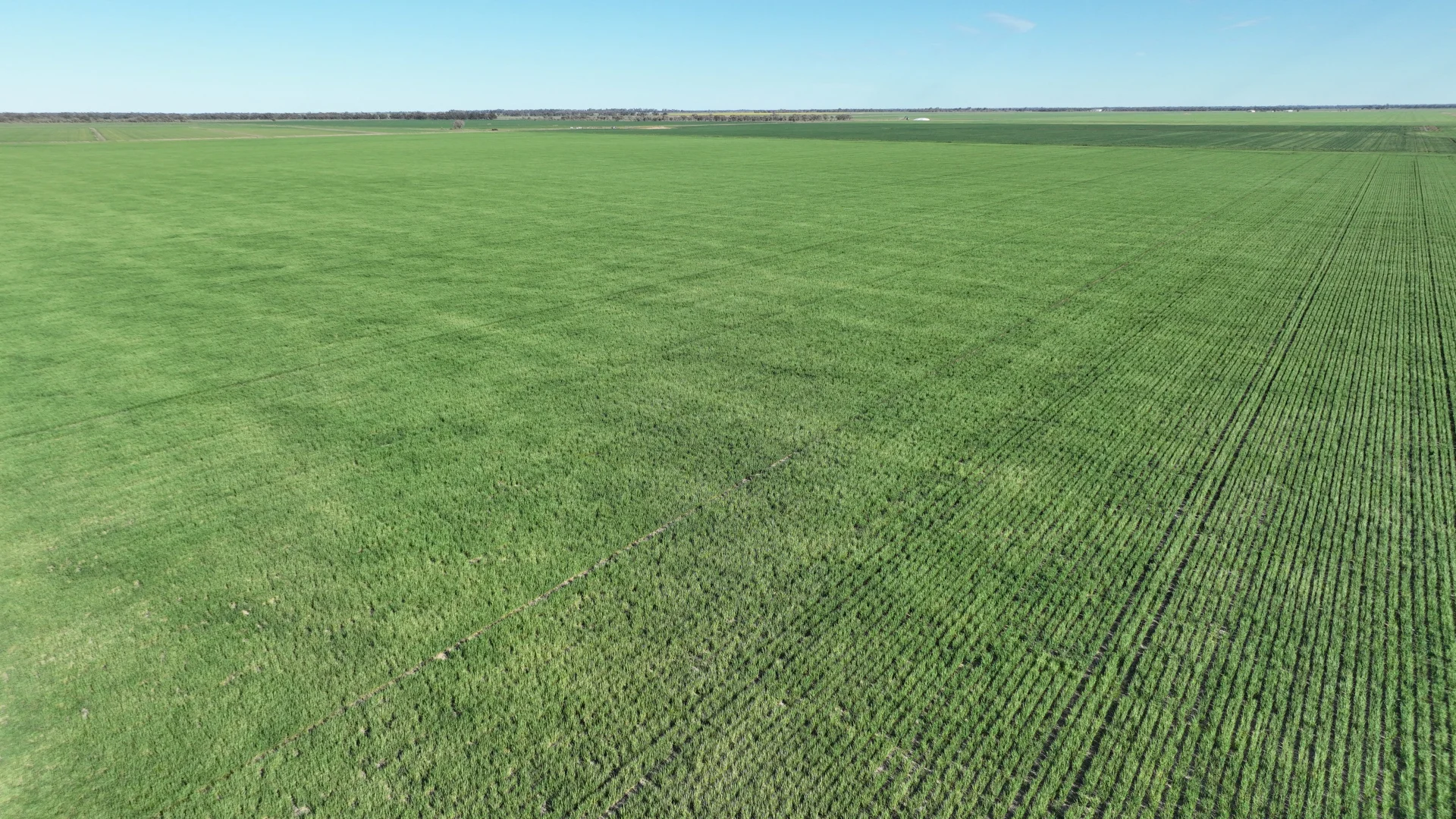 Additional image 18 of "North Devon" Dalys Road, Deniliquin NSW 2710