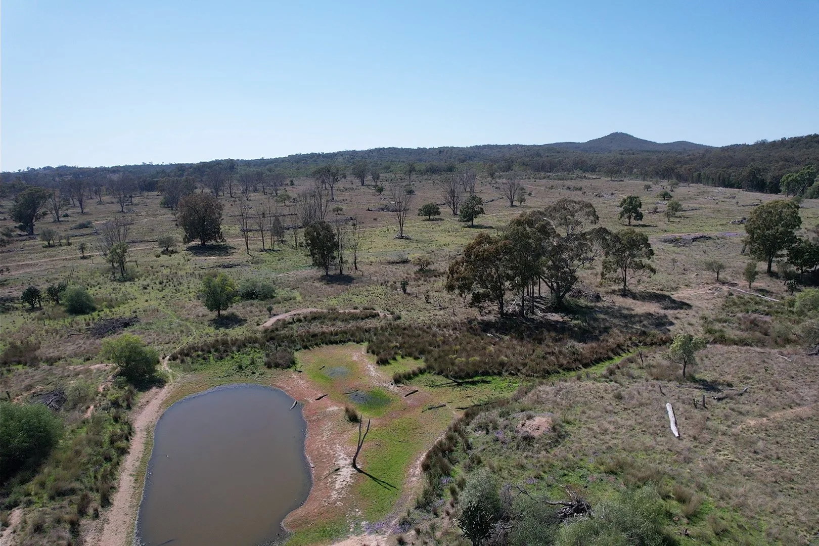 Additional image 4 of 3094 Mosquito Creek Road, Mosquito Creek QLD 4387