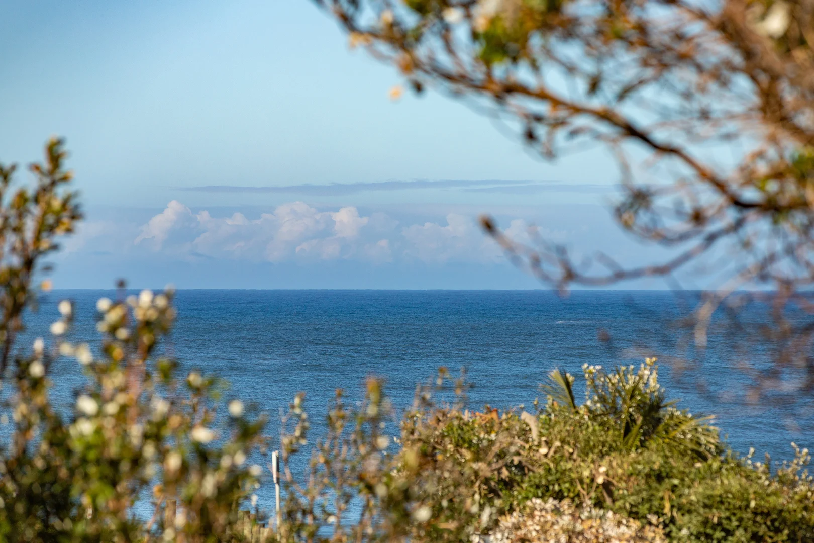 Additional image 30 of 2/11 Banksia Street, Blueys Beach NSW 2428