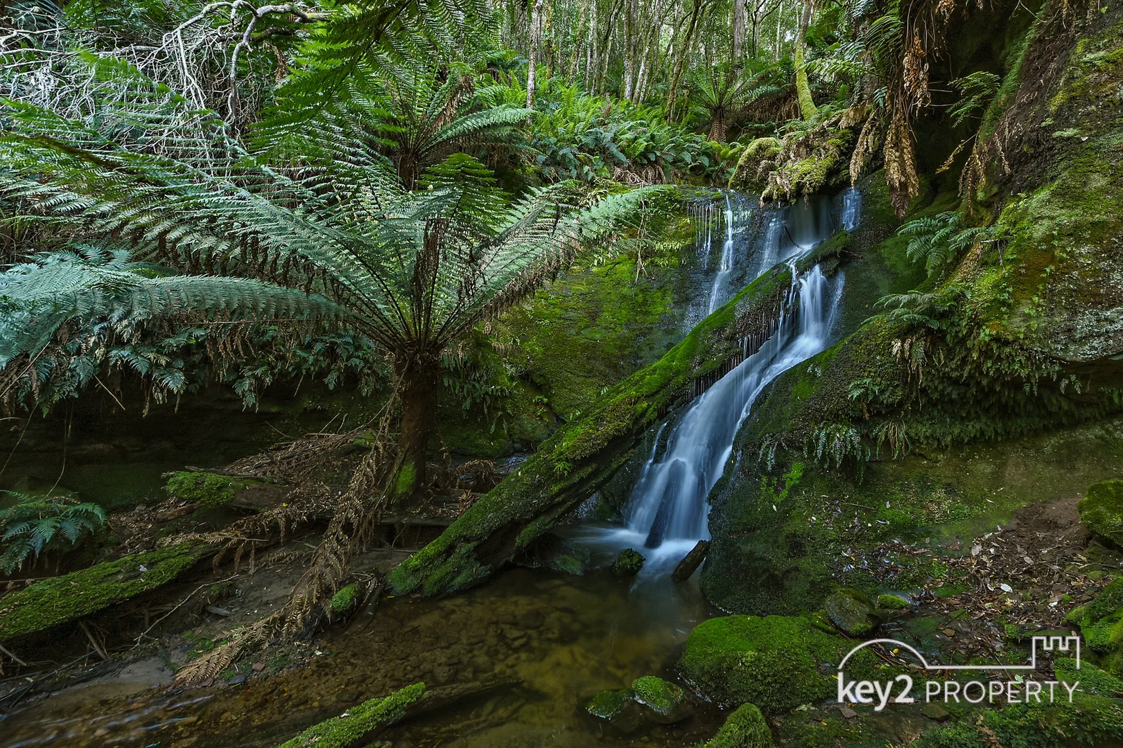 Additional image 27 of 160 Gulf Road, Liffey TAS 7301