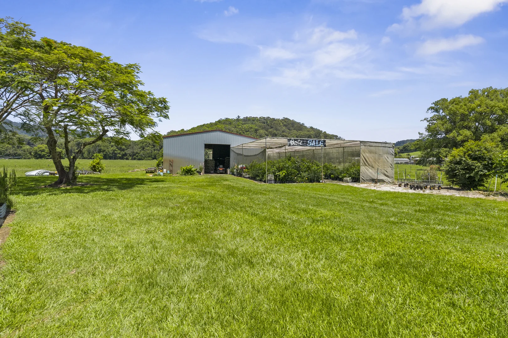 Additional image 26 of 981 Numinbah Road, Crystal Creek NSW 2484