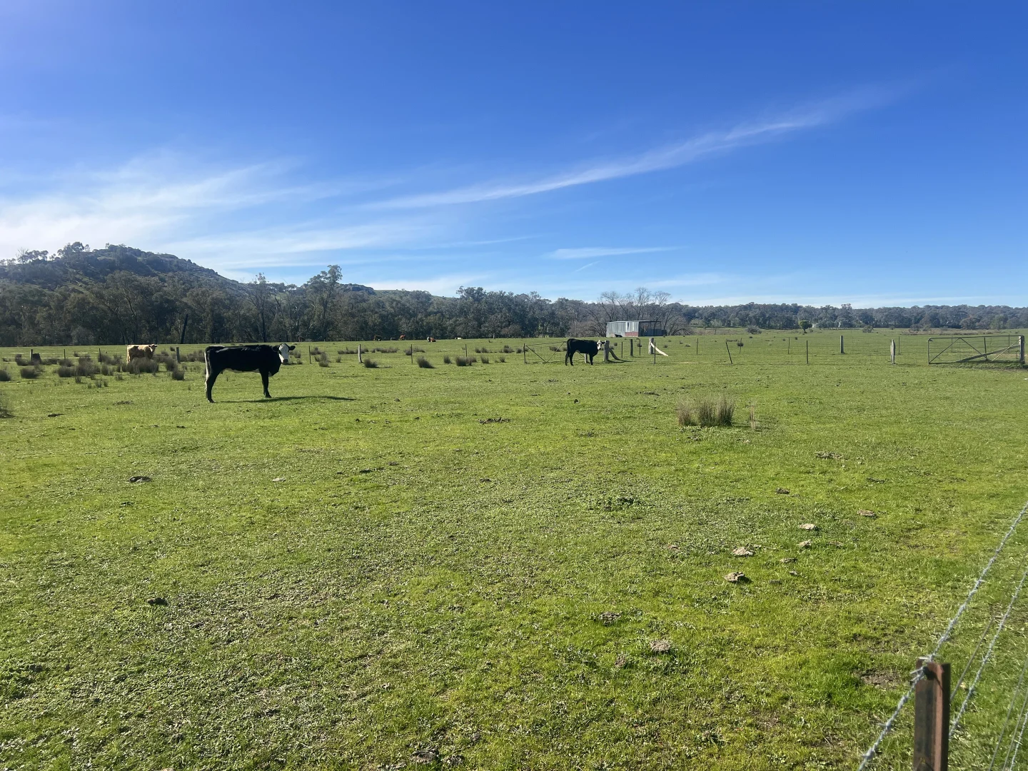 Additional image 6 of Cheesley Gate Road, Indigo Valley VIC 3688