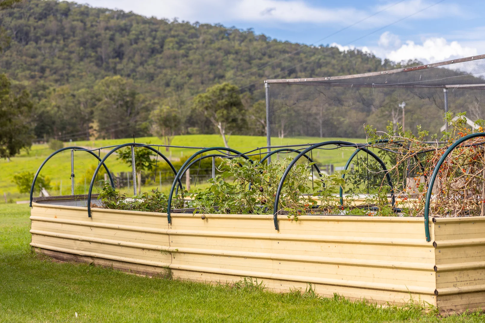 Additional image 50 of Mount George NSW 2424