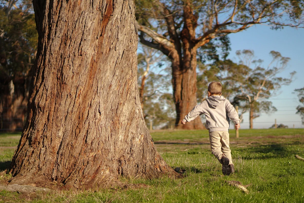 Additional image 9 of Holts Road, Elliminyt VIC 3250