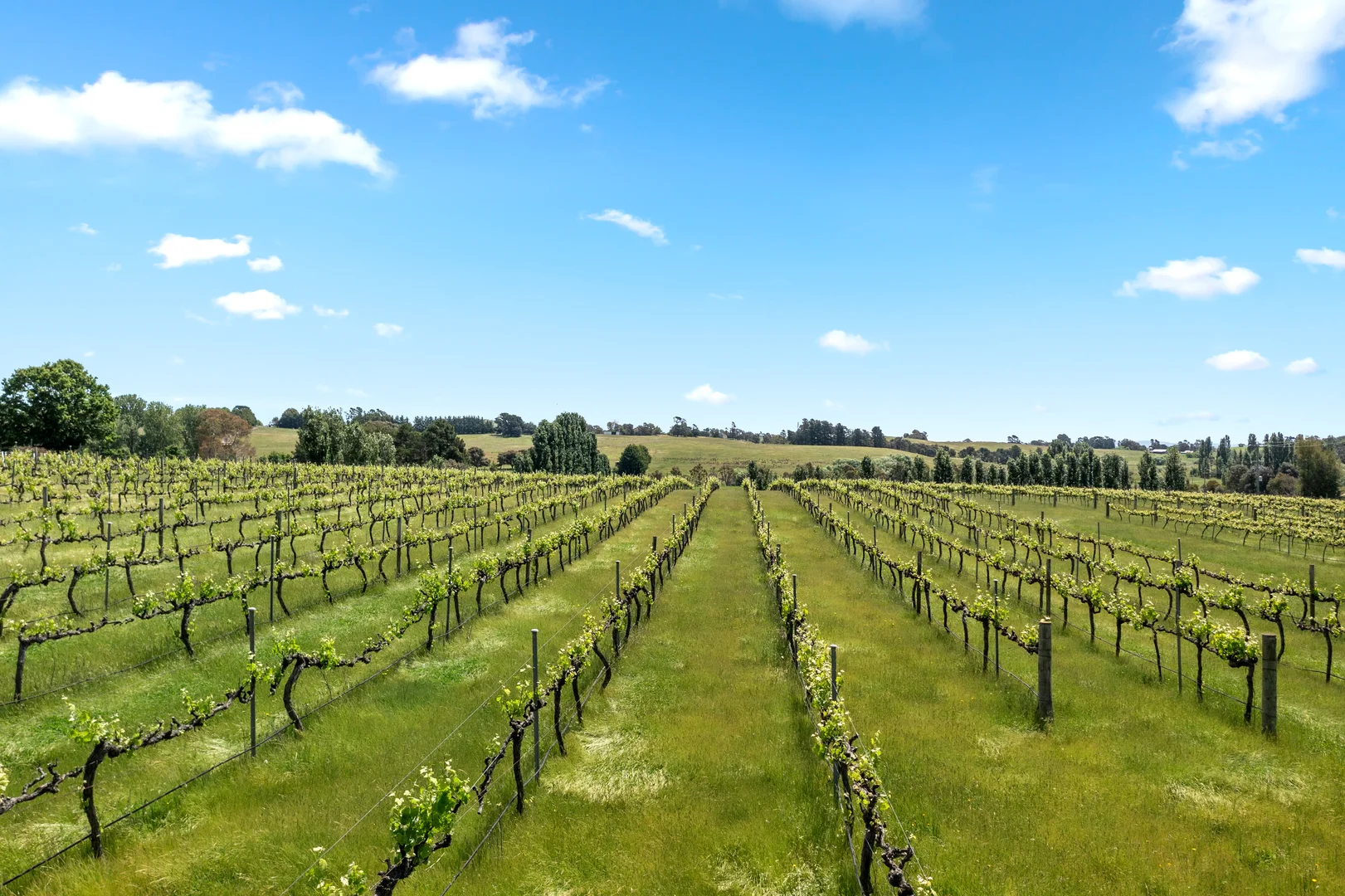 Additional image 2 of 33 BUTTS Road, Murrumbateman NSW 2582