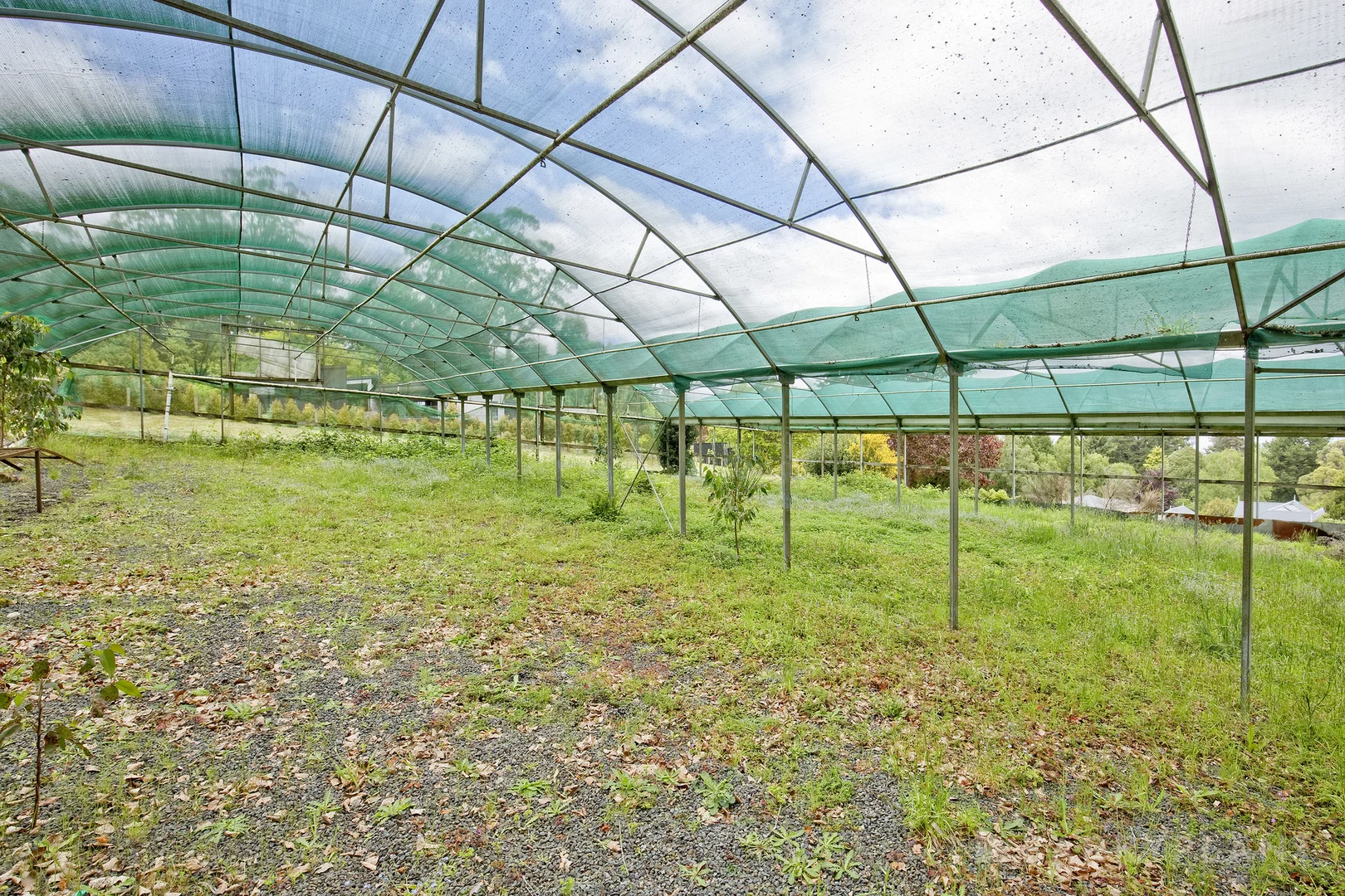 Additional image 9 of 3 Victor Street, Olinda VIC 3788