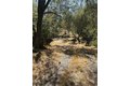 Additional image 51 of 28923 Highway 41, Coarsegold, CA, 93614